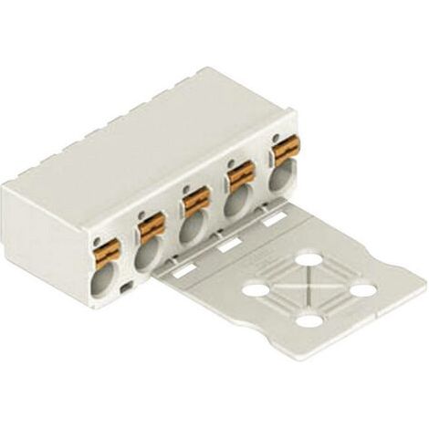 Barrette femelle (standard) série 2091 WAGO 2091-1105/0002-0000 Nbr total de pôles 5 1 pc(s) D23869 (1/2)