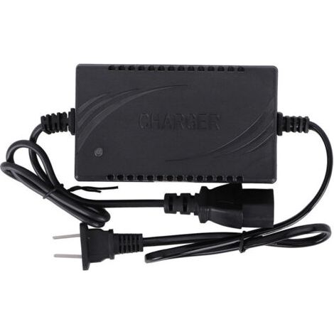Accessoires de chargeur de batterie intelligents 12V1.8A pour pulvérisateur électrique CN 220V (1/4)