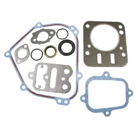Kit set guarnizioni per motore BRIGGS&STRATTON serie 13L132-0310-F8