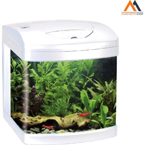 AMTRA XCUBE 26L LED BLANCO