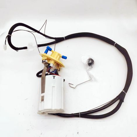 Kraftstoffpumpe 30761742, 31261127, 30792852, 30769007, 1582980059 – Kompatibel mit Volvo (1/4)