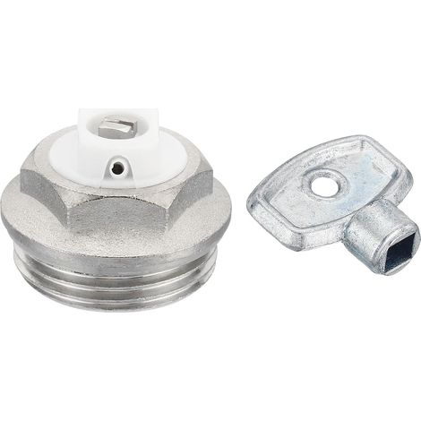 1" BSP Mâle Filetage Manuel Radiateur Air Évent Argent Blanc (1/5)