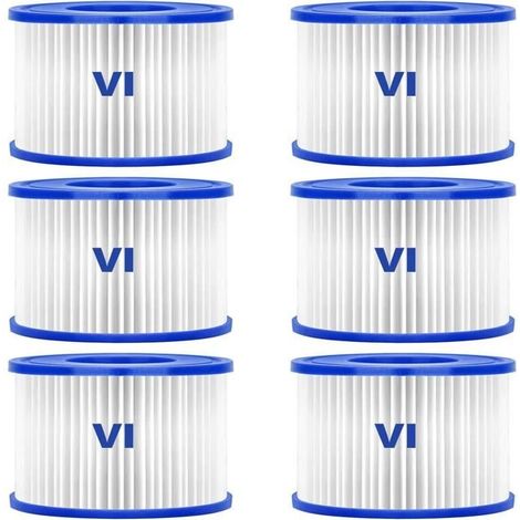 Filtre de piscine - Bestway - 58323 - Pack de 6 - Type VI - Compatible Lay-Z-Spa (1/4)