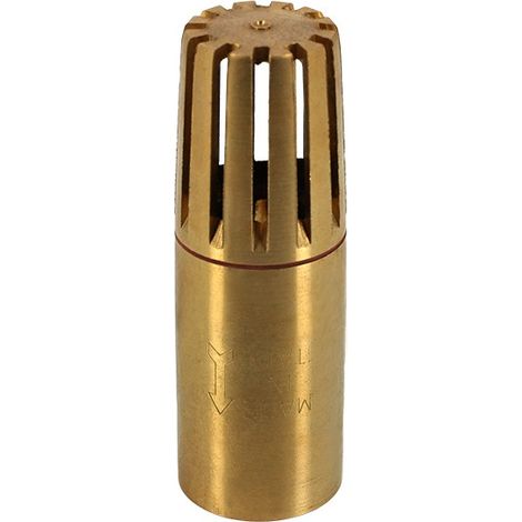Clapet anti-retour crépine laiton tubulaire 3/4'' – Résistance à la corrosion – Filetage plomberie pour installations durables