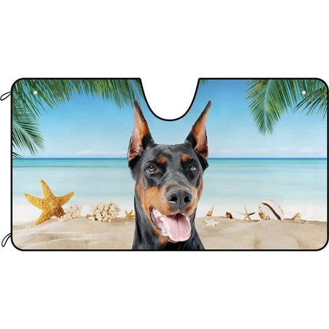 Pare-soleil pour pare-brise de voiture chien, motif chien bernois (1/5)