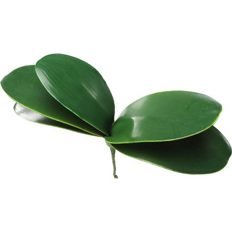 Feuilles d'Orchidée Phalaenopsis Artificielles pour Décoration de Mariage et Intérieur (1/5)