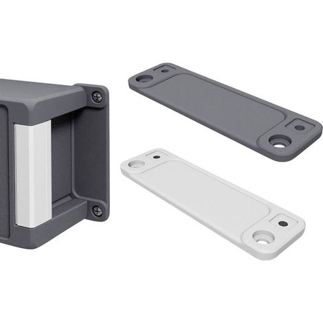Bopla BA WL 17 7035 00500305 Supporto a muro (L x L x A) 173 x 40 x 8 mm Alluminio Grigio grafite (RAL 7024) 2 pz.