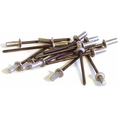 100 wasserfeste Alu-/Stahlnieten (Flachkopf) Ø 3,2 x 8 mm TECHMAN