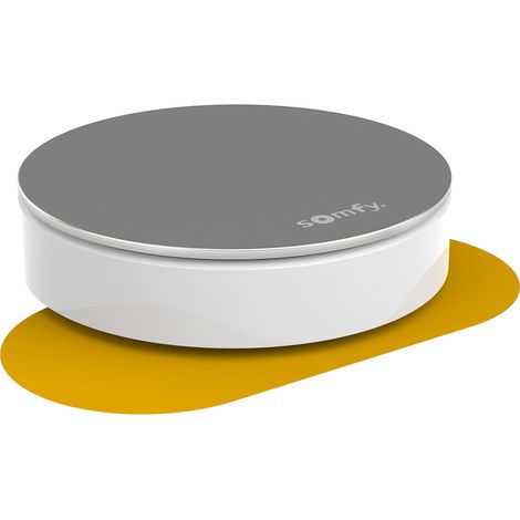 Sirène d'alarme intérieure 2401494 – Compatible Somfy Home Alarm et One (+) – 105 dB – Alimentation 4 piles Alcaline D incluses