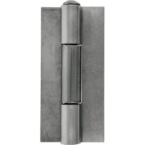 -CAHERSA- BISAGRA LIBRO 20-80X52 Acero PULIDO  AMIG (1/2)