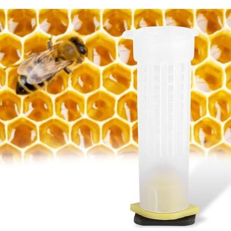 BUNTHAUS CSPARKV 10 Cages à Rouleaux Plastique, Kit de Coupe d'élevage d'abeilles de Reine Cages Apiculture Outil Equipment (10 x Roller Cages)