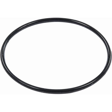 BESTWAY - P6664 - Guarnizione per pompa filtro a sabbia