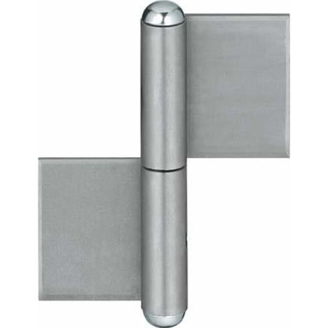 Charnière porte KO 4 200/ 5 mm (Par 6) (1/2)