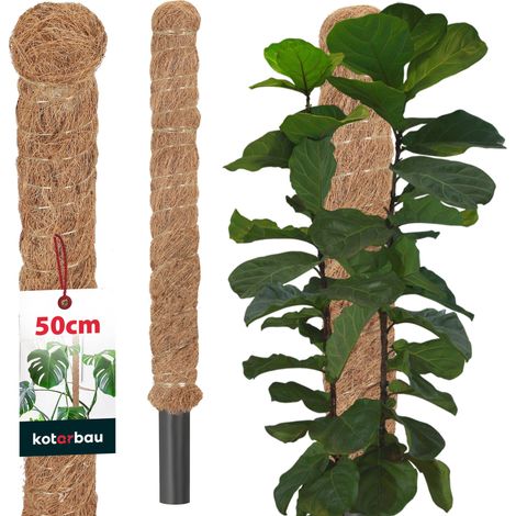 KOTARBAU® Tuteur Plante - Tuteur Coco - ⌀ 3.2 x 50 cm - Fibre de Coco - Tuteurs pour Monstera - Marron - pour Plantes Grimpantes (1/5)