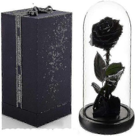 De véritables roses préservées, présentées dans un écrin de verre : un cadeau intemporel pour les femmes. (1/5)