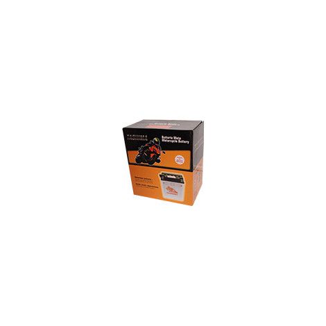 Batería de plomo sellada de gel/agm 12V WP, 19A. L: 173, L: 100, H: 173 mm, + a la derecha. - Batería para poner en ácido antes de su entrega