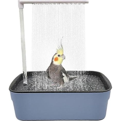 Bain automatique pour perroquets et oiseaux un accessoire d'hygiène pour le bain et l'entretien quotidien de la cage.-AquaForge (1/5)