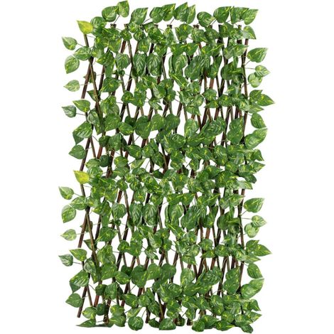 Traliccio Potos Foglie Rampicante Verde Frangivista Recinzione Giardino Balcone 1x2mt (1/4)