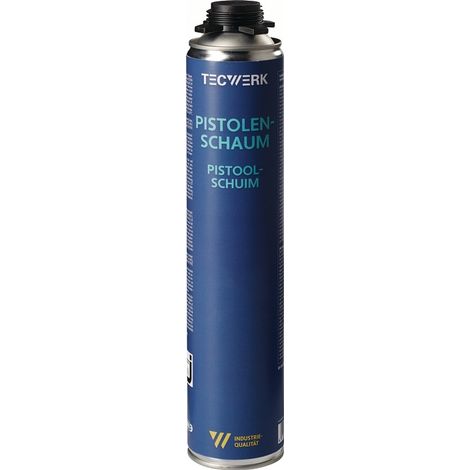 TECWERK 1K-Pistolenschaum 750ml B2 champagner o.Einw.-Handsch.Dose TECWERK