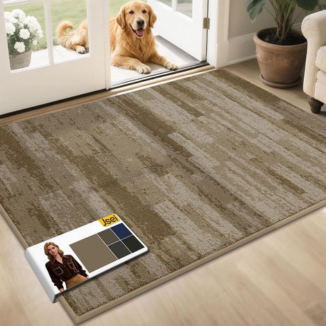 Tapis Anti-Salissures d'Intérieur 80x120 cm, Tapis de Porte Antidérapant Lavable en Machine, Tapis de Porte Imperméable, Entrée, Porte d'Entrée et Couloir, Beige (1/5)