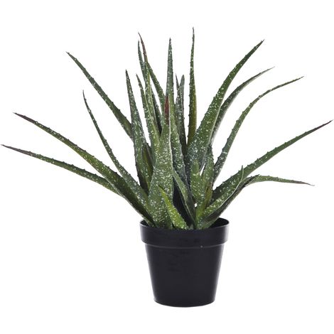Pianta Artificiale Hawortia Aloe con Vaso H 355 cm (1/5)