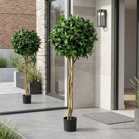 Evergreen Laurel Ball Potted Tree (1/2)