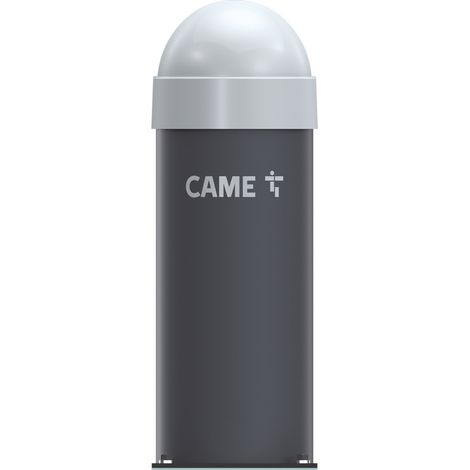 CAT2NNCS PILIER AVEC CONTREPOIDS RAL X CAME 803BC-0060