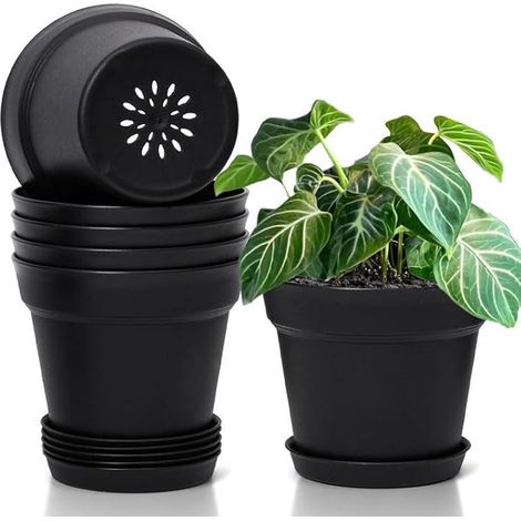 Pots de Fleurs d’Intérieur en Plastique 19 cm Lot de 6 avec Soucoupes Trous de drainage multiples, Balcon et extérieur, Pour plantes, Forme ronde, Coloris noir (1/5)