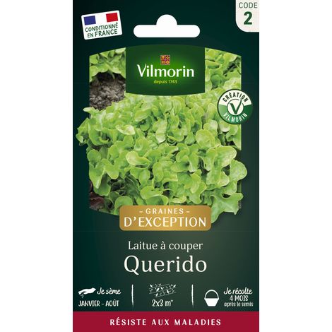 Vilmorin Laitue Querido - Graines d'Exception (1/2)