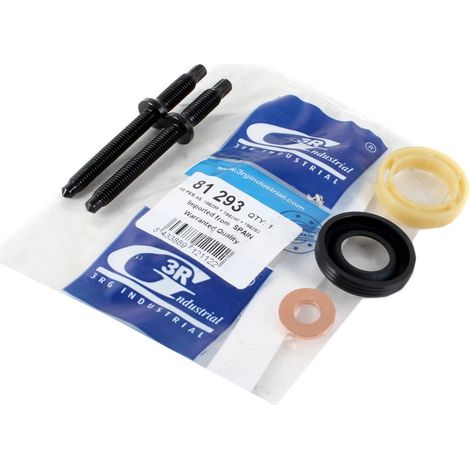 KIT DE REPARACIÓN DE INYECTORES CITROEN C5 III 1.6 HDITORNILLOS DE SELLADO DE INYECTORES C3 C4 PICASSO 1.6 HDIKIT DE REPARACIÓN DE INYECTORES PEUGEOT 207 3008 1.6 HDI