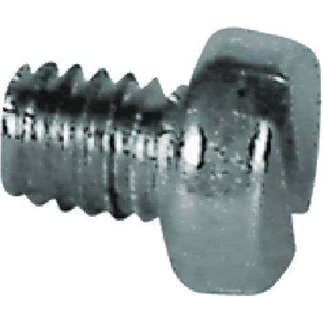 RICAMBIO VITE FERMADADO PER FORBICI DA VIGNA TC 4 x 6