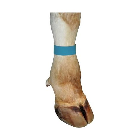 Kerblarmband mit Klettverschluss fÐ©r Rindfleisch, 33 x 4 cm, blau