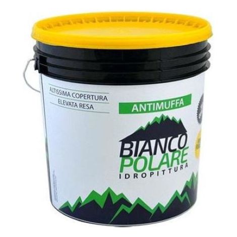 Bianco Polare Peinture au quartz lisse anti-moisissure 4 L blanc pour usage exte'rieur avec action anti-algues