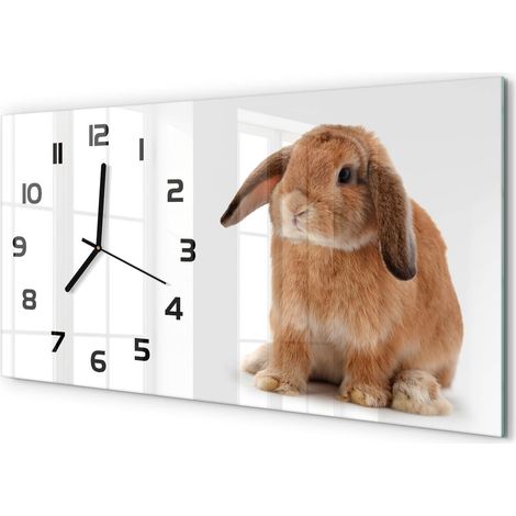 Horloge Murale Industrielle 60x30 cm Design Horizontal Verre Trempé Moderne Lapin rouge (1/5)