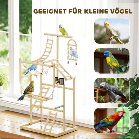 Aire de jeu pour oiseaux 4 niveaux en bois naturel avec plateau inox et accessoires ludiques (1/5)