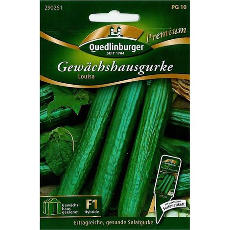 Quedlinburger Gewächshausgurke Louisa - Gemüsesamen (1/2)