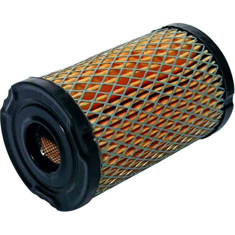 Filtro aria per motore Tecumseh 34700, 34700B