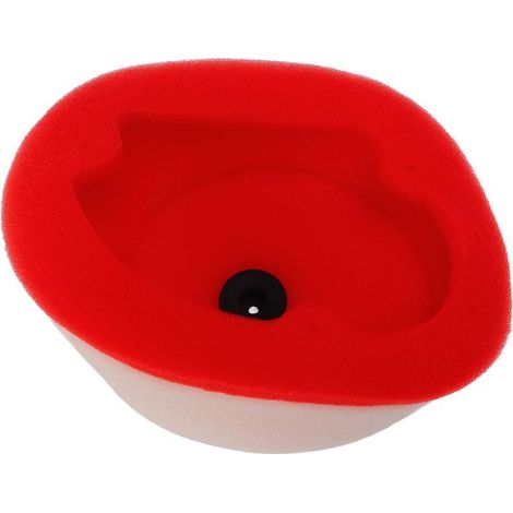 Filtre à Air pour moto, Double mousse, Protection du moteur, admission pour BLASTER YFS200 BREEZE YFA1 (1/5)