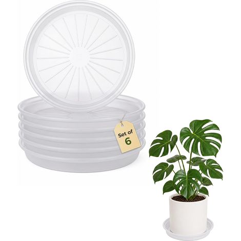 Lot de 6 soucoupes pour Plantes en Plastique épais, Plateau de récupération d'eau pour Pots de Fleurs intérieurs et bac de rempotage, 22,4 cm, Transparent (1/5)