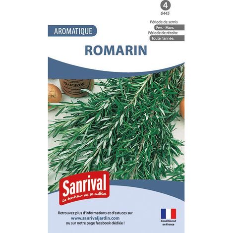 Graines aromatiques romarin vivaces