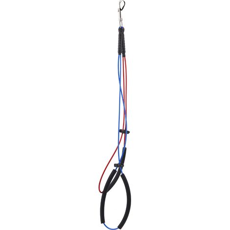 Boucle de toilettage pour chien et chat, cordes à double nœud réglables pour bras de table pour animaux de compagnie, baignoire (L) (1/5)