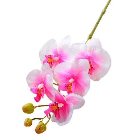 Orchidées artificielles en forme de papillon avec tige, fleur Phalaenopsis réaliste à 5 têtes, décoration de table pour la maison et le bureau, branche de fleur artificielle, décoration de composition (1/5)
