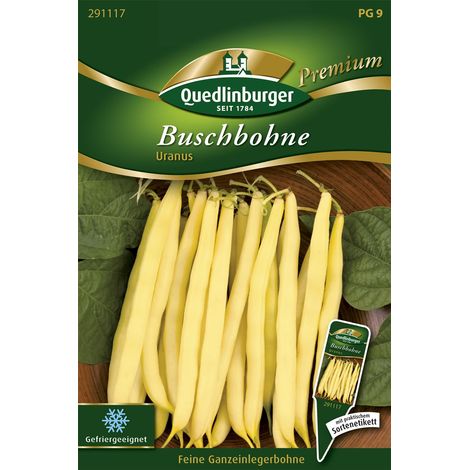 Quedlinburger Saatgut – Haricot nain Uranus – Graines de légumes, variété précoce, gousses jaunes de 12 cm, petite graine blanche (1/2)