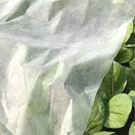 Telo bianco antigelo per piante da giardino da 1,6 x 5 mt - Protezione dal freddo, neve e parassiti (1/5)
