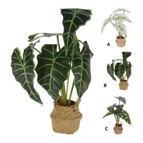 CESTA C/PLANTA 51CM SURTIDA