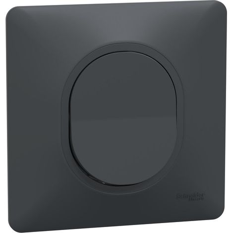 SCHNEIDER ELECTRIC Lot de 5 interrupteurs va-et-vient complet Ovalis SCHNEIDER ELECTRIC, anthracite (1/5)