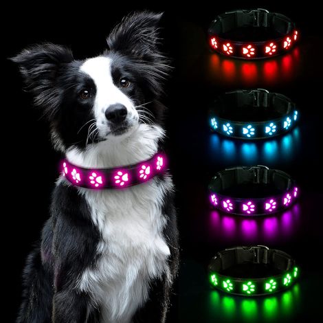 Collier LED pour chien, rechargeable par USB, en cuir PVC imperméable, luminosité réglable - Taille M (1/5)