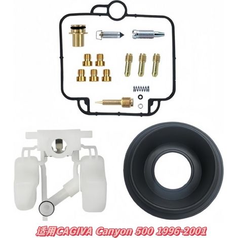 Vergaser-Reparatursatz für CAGIVA Canyon 500 (1996–2001) – Überholungssatz