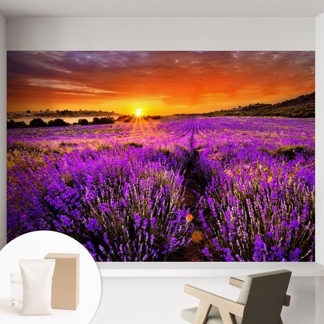 Papier peint intissé décoratif avec colle pour salon chambre et bureau Installation rapide Coucher de soleil lavande 152x104 cm (1/5)