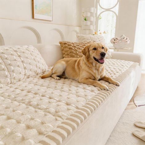 Coussin/Housse de canapé lavable pour animaux – Style bohème, adapté aux chiens ainsi qu'à divers types de canapés et de meubles (1/5)